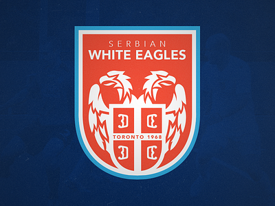 White Eagles Concept branding canada football soccer sports branding sports logo toronto