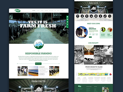 Website UI Design for Dairy Farm