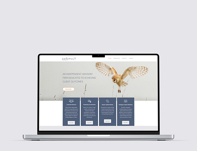 Catapult Partners website design website