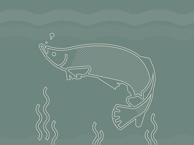 Pirarucu - The giant fish of the Amazon amazon amazon river amazonia arapaima arte vetorial brazilian fauna fauna fauna brasileira fish flat illustration illustrator peixe pirarocu vector art