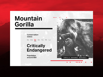 Save Wildlife gorilla type typography wildlife wwf