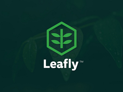 Leafly Logo android app foliage forest frond green hexagon icon leaf leaves logo minimalist moisture osx icon plant software startup tree water