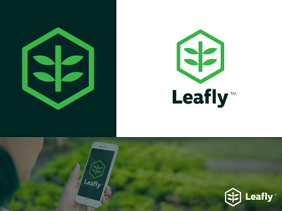 Leafly Logo Presentation app foliage forest frond geometric green green app hexagon hipster icon leaf leaves logo minimal minimalist moisture plant startup tree