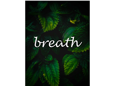 Breath in the Nature design photoshop project socialmediapost vectormasking