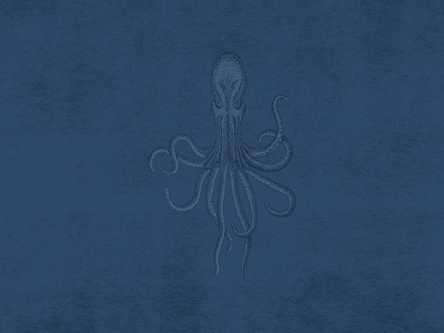 Octopus Illustration