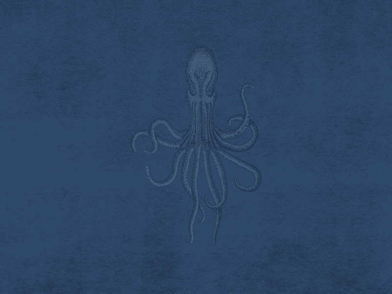 Octopus Illustration by Matt White on Dribbble