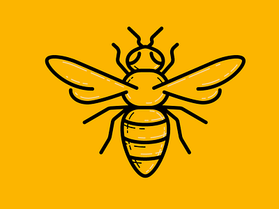 Bee Illustration bee honey bee illustration line vector