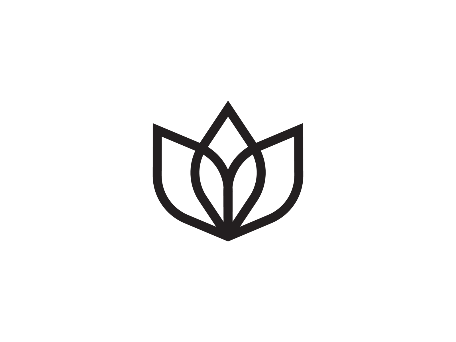 Bloom, II by Cameron Maher on Dribbble