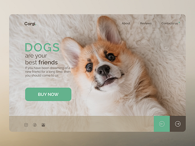 Corgi design ui