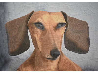 George the Sausage character charecter design collage dog dog portrait dogs illustration paper paper collage portrait
