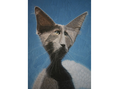 Ayla ayla blue cat cat portrait cats collage paper art portrait