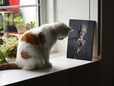 Jim Gates, Charlie cat charlie collage jim gates portrait studio