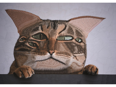 Lyra cat cats collage ears eyes feline illustration paws portrait