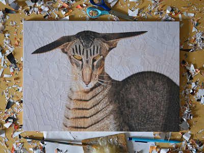 Hardy, studio cat collage collages hardy illustration paper scissors studio