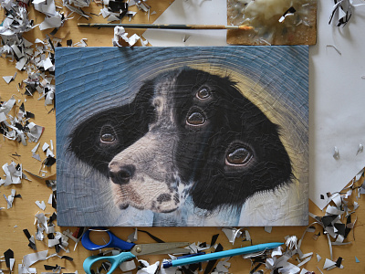 Kayack, studio dog dog illustration dogs illustration portrait studio