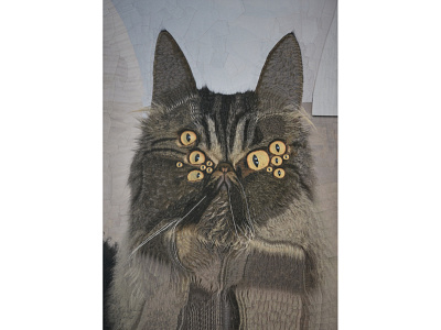 Wonton cat cats eye eyes illustration