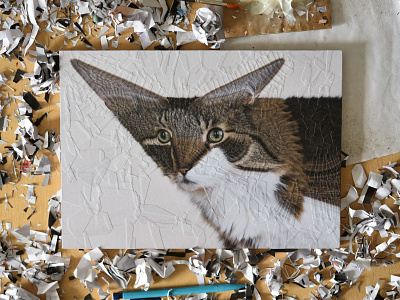 Mia, studio cat cat portrait cats paper art portrait studio