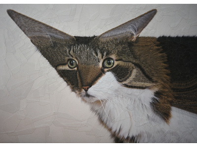 Mia cat cats collage illustration paper portrait