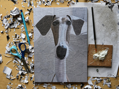 Eddie, studio dog dogs illustration paper portrait studio