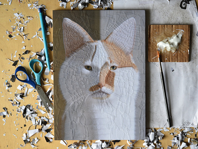 Charlie 35, studio art cat cats collage illustration paper paper collage portrait studio
