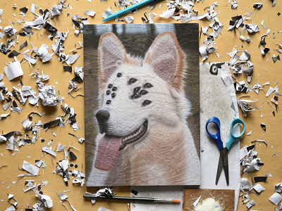 Ozzie, studio 1 collage dog dogs paper portrait studio