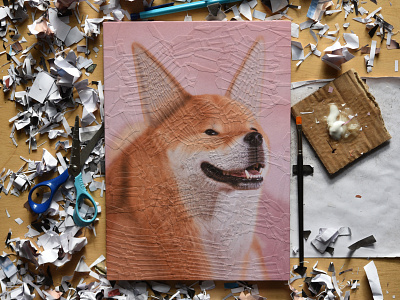 Tofu, studio 1 collage dog dog illustration illustration portrait studio