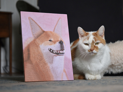 Tofu, Charlie cat charlie dog portrait