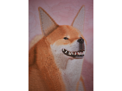 Tofu dog dog illustration dog portrait illustration portrait