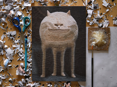 Fluffy, studio cat cats collage fluffy portrait studio