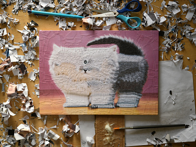 Ivor, studio animal animals cat cats collage cyclops eye kitten one eye portrait studio