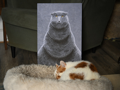 Melange, Charlie animal portrait cat cats cats of dribbble portrait studio
