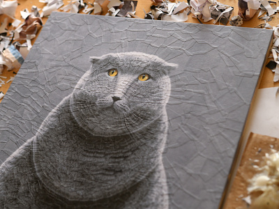 Melange, detail cat cats collage detail paper collage portrait studio