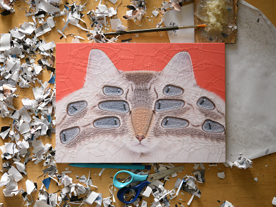 Andromeda, studio cat cat portrait cats collage illustration paper