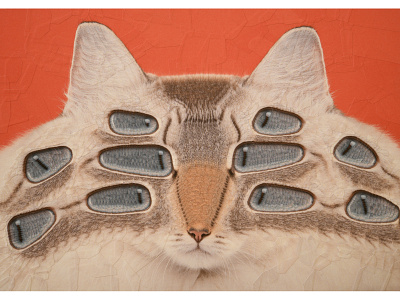 Andromeda cat cat eyes cat illustration cat portrait cats eye eyes portrait
