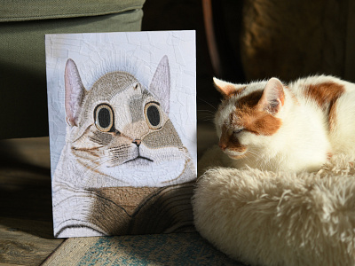 Vlad, Charlie animal animals cat cats charlie portrait