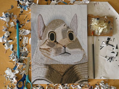Vlad, studio cat cats illustration portrait studio