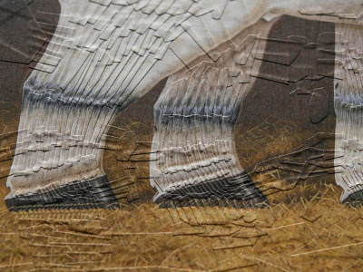 Horse with thick legs, after Albert Clark, detail collage horse horses paper paper art paper illustration studio