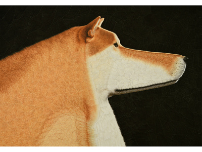 Randy dog dog portrait dogs dribbble