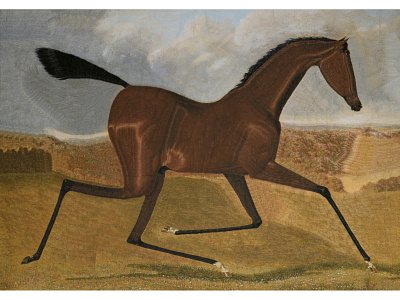 Trotting Bay after J.F Herring collage dribbble equestrian equine horse horses illustration paper