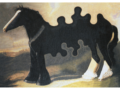 After William Shiels collage equine horse horses illustration
