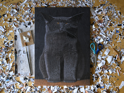 Caju, studio cat cat illustration cat portrait cats feline illustration