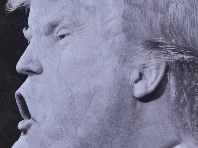 Donald Trump detail 1 art collage donald trump illustration paper portrait trump