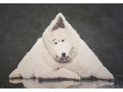 Edwin canine collage dog dog portrait dogs illustration paper traingle triangular