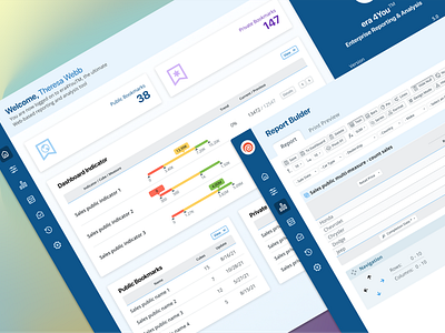 Web-based reporting and analysis tool