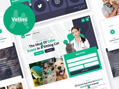 Vetimi - Veterinary Website Template animal clinic doctor health landing page medic medical template veterinary webflow website
