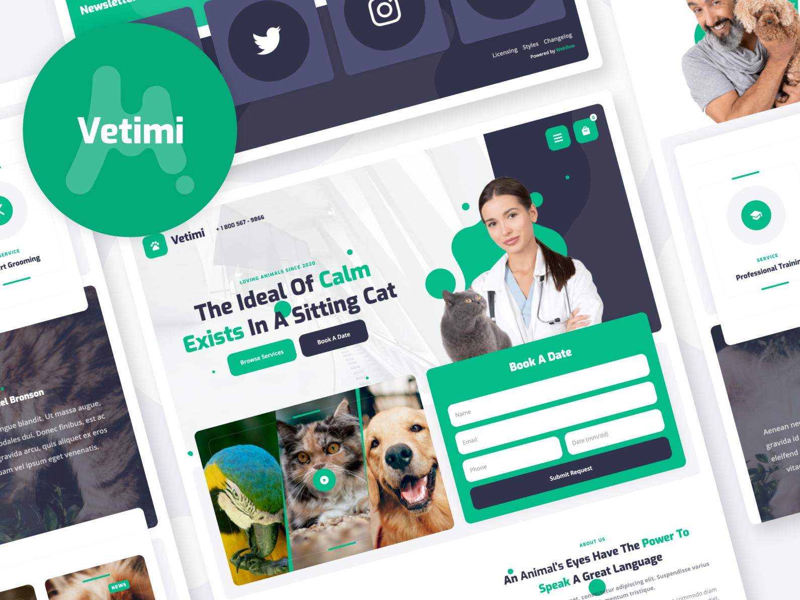 Vetimi Veterinary Website Template by Mindblister on Dribbble