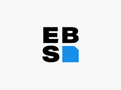 EBS Logo Design brand branding bulk icon logo logo design logodesign memory card tech technology