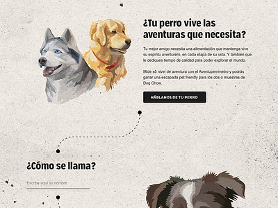 Dogchow Microsite art directiom campaign design dog dogs form purina site ui ux