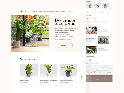 Ficus adaptive design plants typography ui ux web design web site