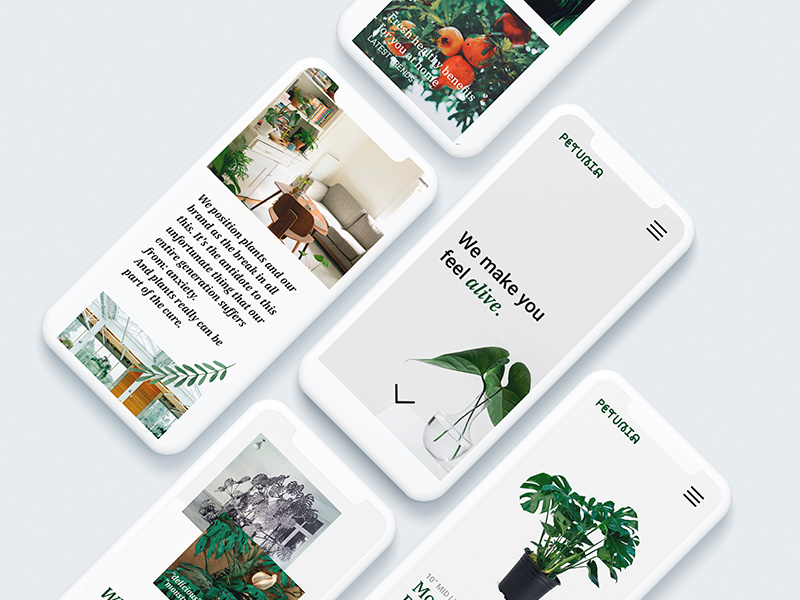 Petunia Ecommerce Mobile mobile online shop nature plants petunia ecommerce